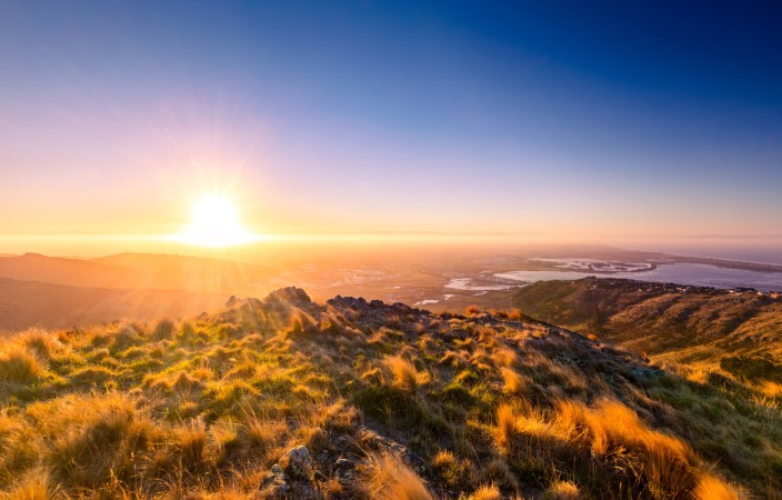 istock-1319128094.jpg Image